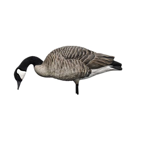 Avian-X AXP Honkers Fusion Pack Full Body Canada Goose Decoys Silver