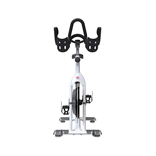 Schwinn AC Performance Plus Indoor Bike White