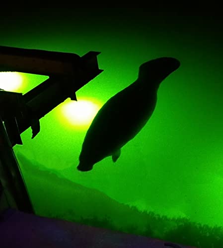 Underwater FishLight Extra Bright 250W Double Light Natural Green
