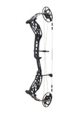 Bear Archery Whitetail MAXX Black/Whitetail