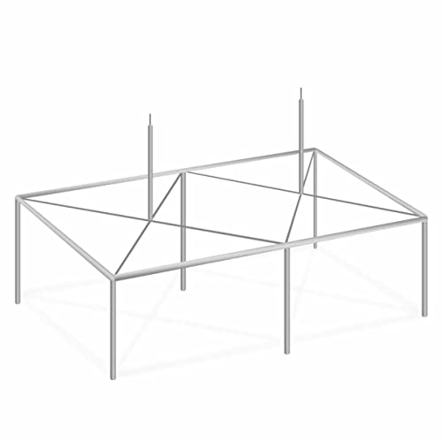 TentandTable 20' x 40' High Peak Canopy Tent Frame Silver