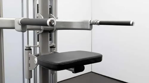 BK BodyKore Isolation Series - Chin/Dip Assist - GR636 Black Frame