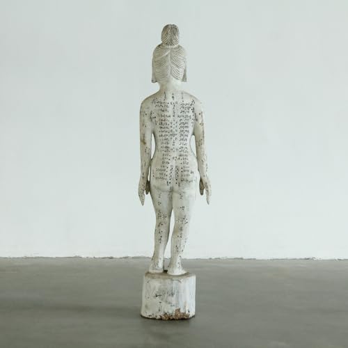 Artissance Acupuncture Female Figure Model Antique White 40" H