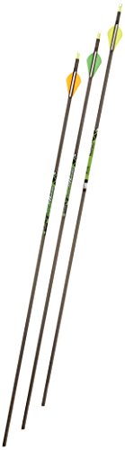 Gold Tip XT Hunter 7595/340 Carbon Arrows with 2-Inch HP Vanes, Black