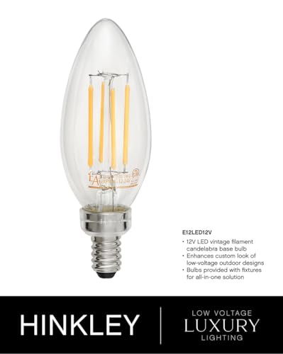 Hinkley Carson Collection Three Light 12V 3.50W LED Low Voltage Outdoor Medium Orb Pendant Vintage Iron