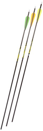 Gold Tip Pro Hunter 5575/400 Carbon Arrows with 4-Inch Vanes Black