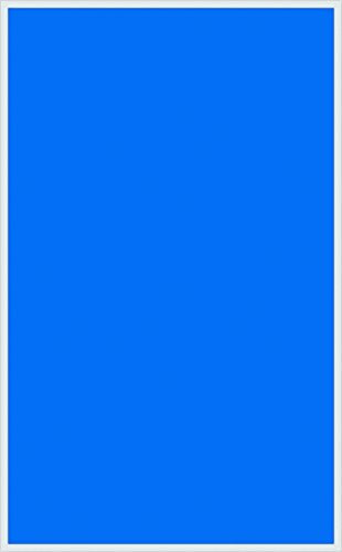 WaterWarden Premium Pool Safety Cover 20'x30' Solid Blue With Drain Panel