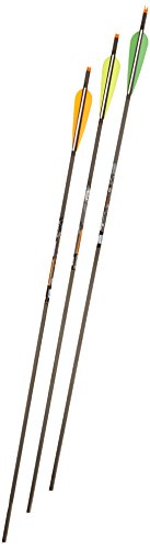 Gold Tip Velocity Hunter 500 Arrows with 4-Inch Vanes 72 Count Black