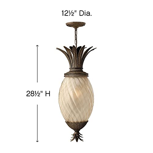 Bailey Street Home 4 Light Outdoor Hanging Lantern Bronze