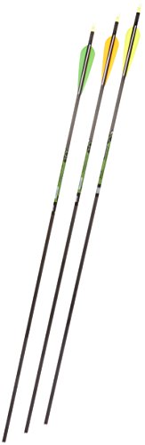 Gold Tip XT Hunter 7595/340 Carbon Arrows with 4-Inch Vanes 72 Count Black