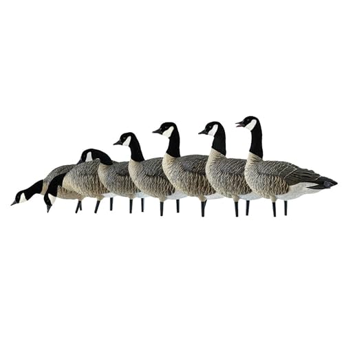 Avian-X AXF Lessers Full Body Goose Hunting Decoys 12 Pack Multicolor
