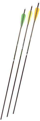 Gold Tip Velocity XT 500 Arrows with 4-Inch Vanes 72 Count Black