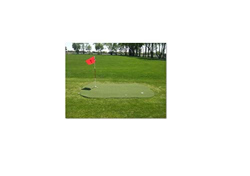 Big Moss Golf Portable Backyard Outdoor Target & Putting Green 6'x12'' Multicolor
