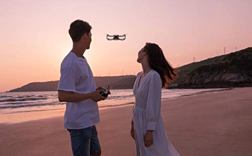 DJI Mavic Mini Drone CP.MA.00000120.01