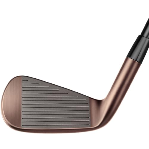 TaylorMade Men's P770 Aged Copper Iron Set RH 4-PW C-Taper Lite Black 110