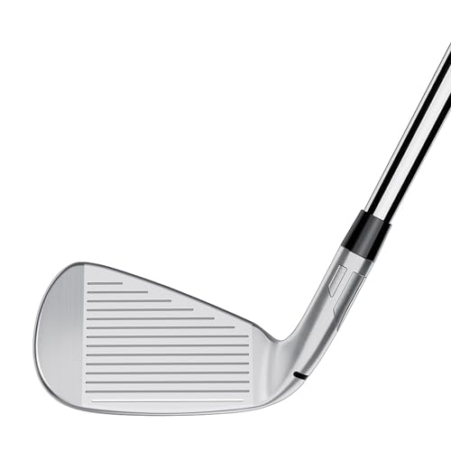 TaylorMade Golf Qi Iron 4-P,AW Graphite Shaft Regular Right Handed Silver