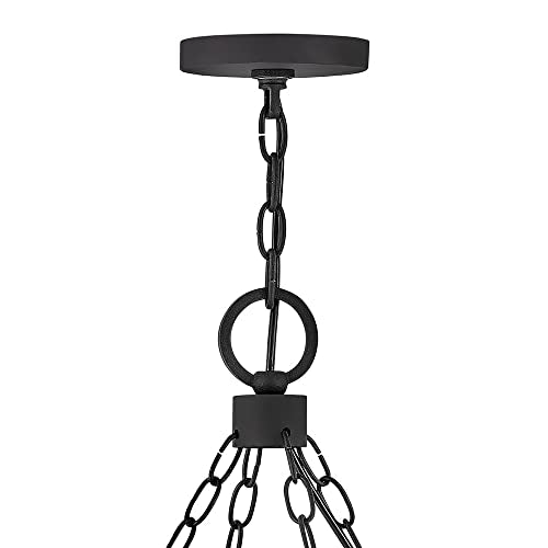 Hinkley Sawyer Large Black Outdoor Pendant Light