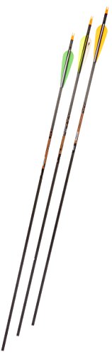 Gold Tip Expedition Hunter 300 Carbon Arrows with 4-Inch Vanes Black