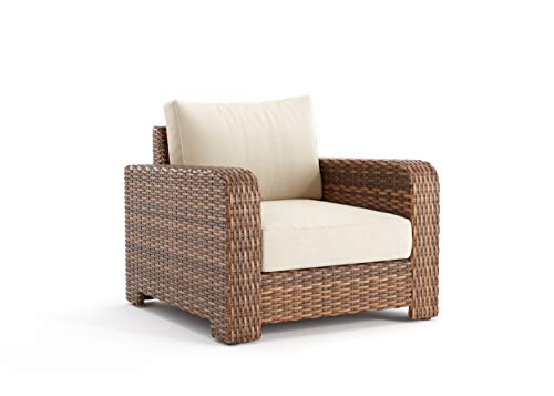 Winston Nico Lounge Chair Antique Chestnut Frame Sunbrella Cast Pumice Fabric