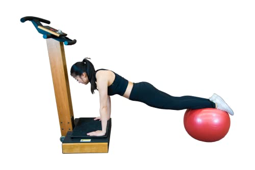 LifetimeVibe Whole Body Vibration Plate Cherrywood