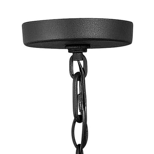 Hinkley Alford Place 12v Outdoor Chandelier Museum Black