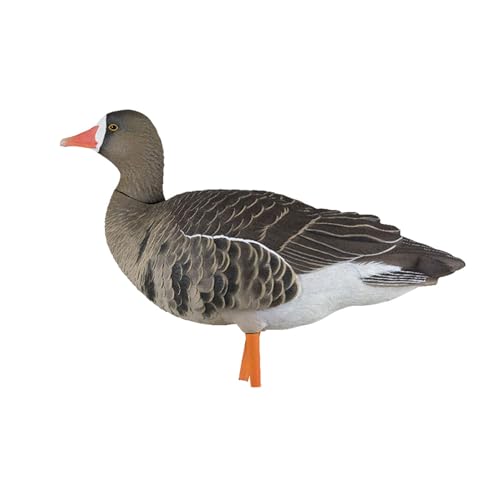 Avian-X AXP Specklebelly Decoy Fusion Pack 12 Pack