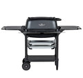 PK Grills Portable Charcoal Grill and Smoker Coal