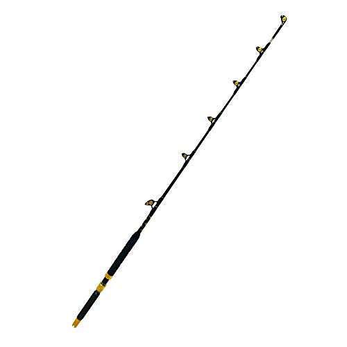 EAT MY TACKLE 30 Wide 2 Speed Fishing Reels on 30-50 Pound Tournament Rods Gold (2 Pack)