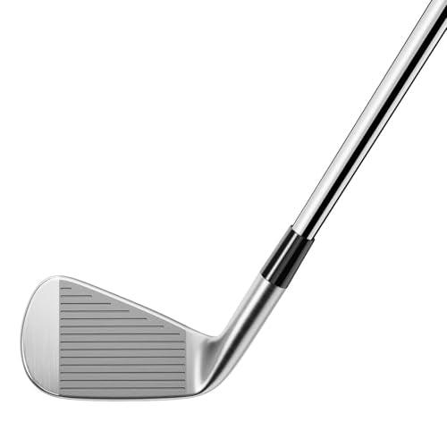 TaylorMade 2024 P770 Iron Set 4-PW Men's Righthanded Steel Stiff Silver