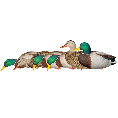 Avian-X AXP Full Body Mallards Decoy 18 Pack Multicolor