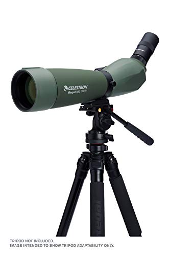 Celestron Regal M2 LER 27x80 ED Spotting Scope Olive Green