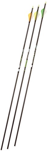 Gold Tip Velocity XT 400 Arrows with 2-Inch Vanes, Black