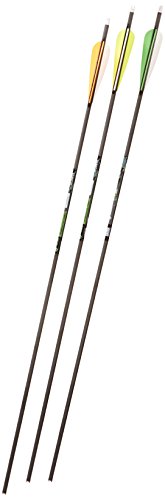 Gold Tip Velocity XT 600 Arrows with 4-Inch Vanes Black 72 Count