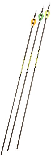 Gold Tip Pro Hunter 7595/340 Carbon Arrows with 2-Inch HP Vanes Black