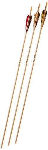 Gold Tip Traditional Hunter 3555/500 Arrows with 4-Inch Feathers 72 Count Beige