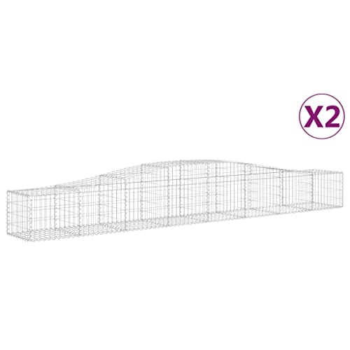 Arched Gabion Baskets 2 pcs Galvanized Iron for Outdoor Plants White Black