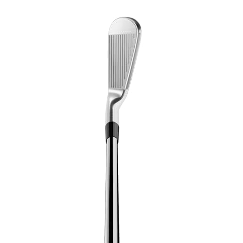 TaylorMade 2024 P770 Iron Set 4-PW Men's Righthanded Steel Stiff Silver