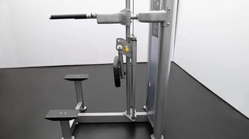BK BodyKore Isolation Series - Chin/Dip Assist - GR636 Black Frame