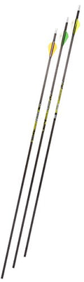 Gold Tip Pro Hunter 300 Carbon Arrows with 2-Inch HP Vanes Black