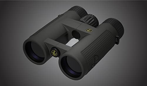 Leupold BX-4 Pro Guide HD Binoculars 10x42mm Shadow Gray