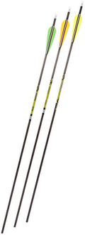 Gold Tip Pro Hunter 3555/500 Carbon Arrows with 4-Inch Vanes Black
