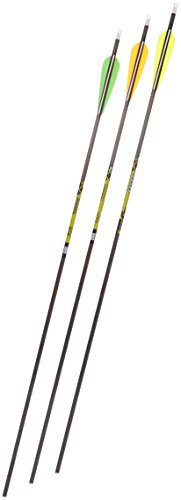 Gold Tip Pro Hunter 3555/500 Carbon Arrows with 4-Inch Vanes Black