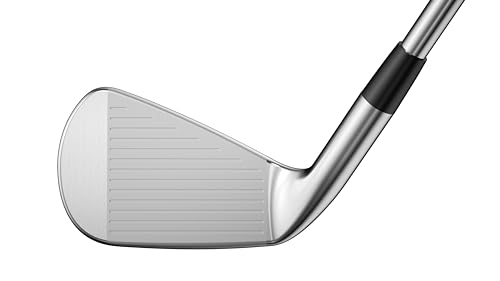Mizuno Pro 225 Golf Iron Set 3-PW Steel Right Hand Stiff
