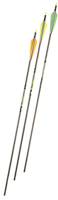 Gold Tip XT Hunter 3555/500 Carbon Arrows with 4-Inch Vanes Black