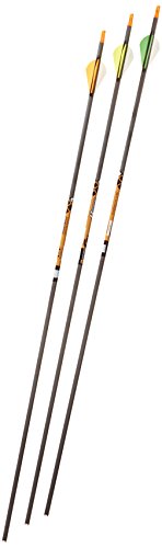 Gold Tip Expedition Hunter 3555/500 Carbon Arrows with 2-Inch HP Vanes Black (72 Count)