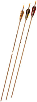 Gold Tip Traditional Hunter 7595/300 Arrows with 4-Inch Feathers 72 Count Beige