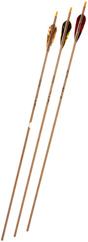 Gold Tip Traditional Hunter 7595/300 Arrows with 4-Inch Feathers 72 Count Beige
