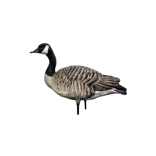 Avian-X AXP Honkers Fusion Pack Full Body Canada Goose Decoys Silver