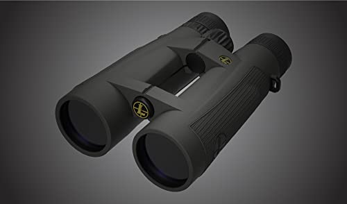 Leupold BX-5 Santiam HD Binoculars 15x56mm Shadow Gray