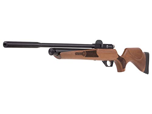 Wearable4U Hatsan Hydra .25 Cal QuietEnergy PCP Air Rifle Ultimate Bundle with Arrow Barrel, Hard Case, Targets, and Pellets